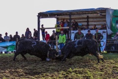 2023-10-14-15h15m49