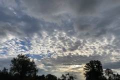 2023-10-14-08h57m57