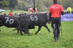 2025-10-18-10h53m55