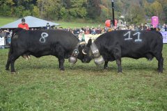 2025-10-18-15h21m49