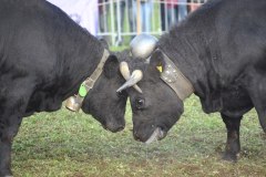 2025-10-18-16h13m47