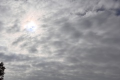 2025-10-18-11h45m52